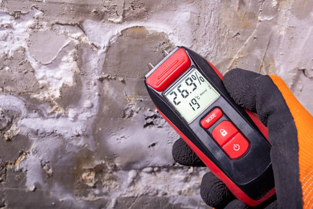 Best Home Mold Removal  in Monterey Park, CA