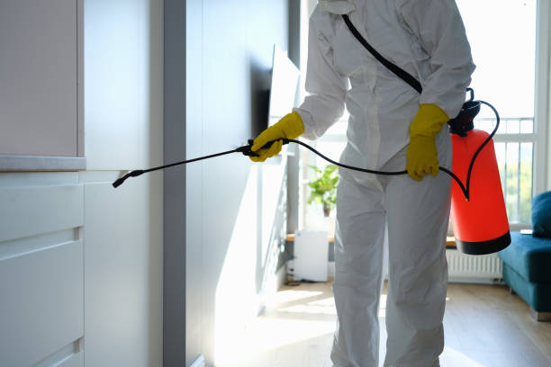 Best Crawl Space Mold Removal  in Monterey Park, CA