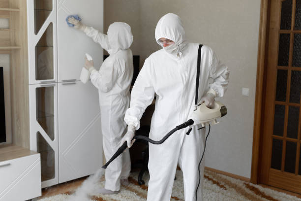 Best Mold Remediation  in Monterey Park, CA