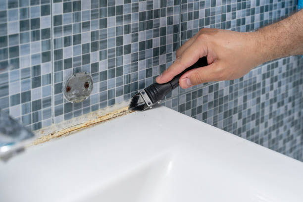 Best Mold Damage Repair  in Monterey Park, CA