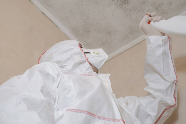 Best Water Damage Restoration  in Monterey Park, CA